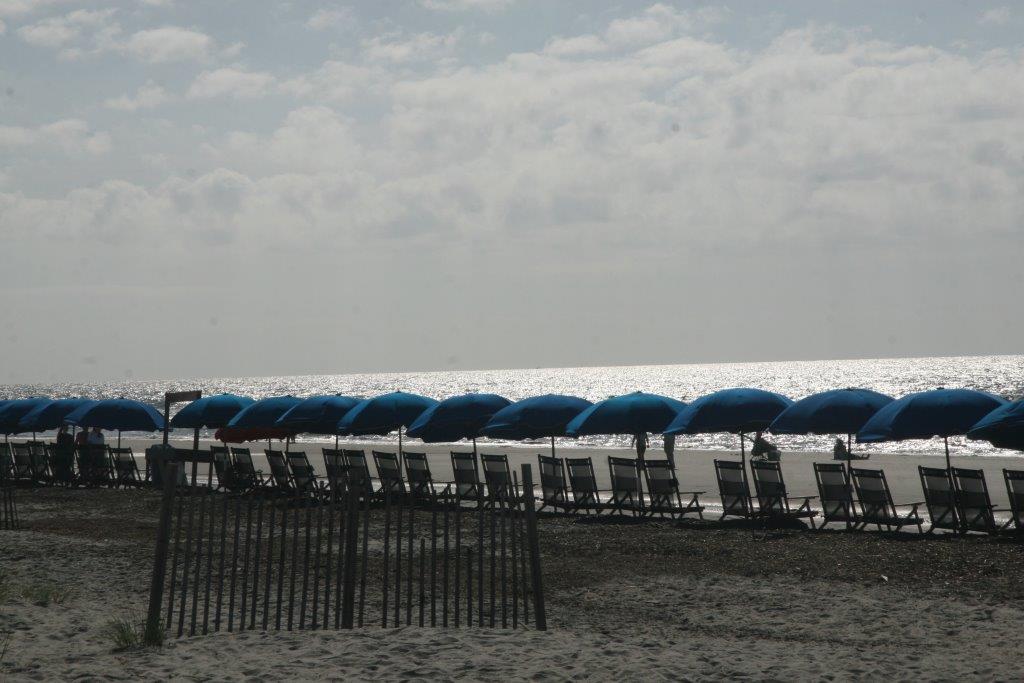 Beach Chairs Lined up on Hilton Head Beach